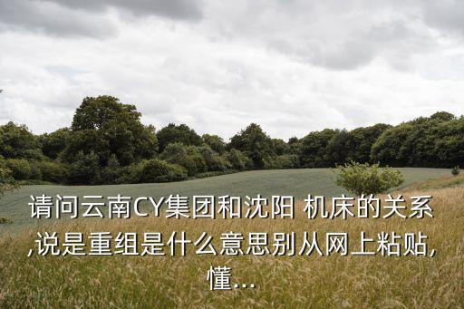 請(qǐng)問云南CY集團(tuán)和沈陽(yáng) 機(jī)床的關(guān)系,說是重組是什么意思別從網(wǎng)上粘貼,懂...