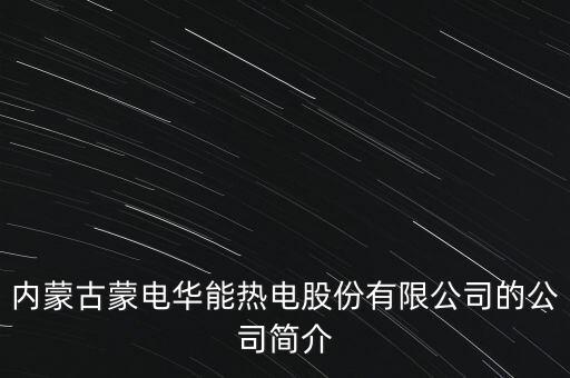 內(nèi)蒙古蒙電華能熱電股份有限公司的公司簡(jiǎn)介