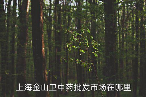  上海金山衛(wèi)中藥批發(fā)市場在哪里