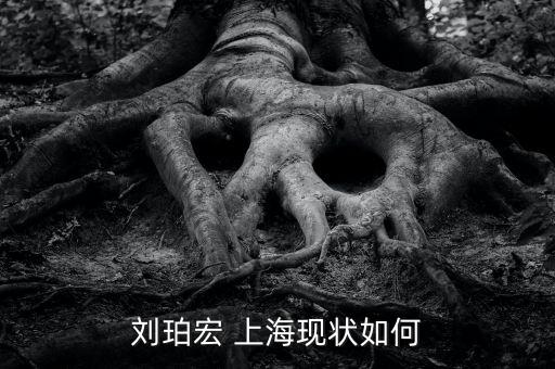 劉珀宏 上海現(xiàn)狀如何