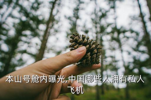 本山號艙內曝光,中國哪些人擁有私人飛機