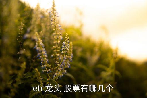 皖通科技股票股吧,愛(ài)康科技股票股吧