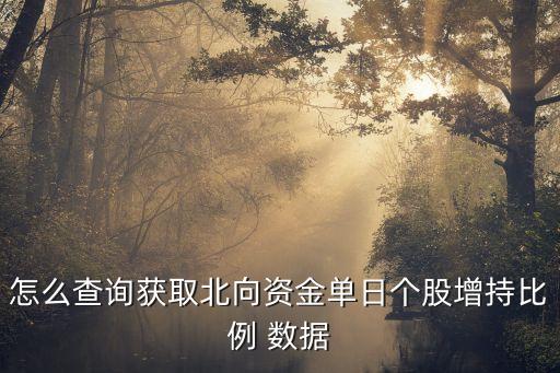怎么查詢獲取北向資金單日個(gè)股增持比例 數(shù)據(jù)