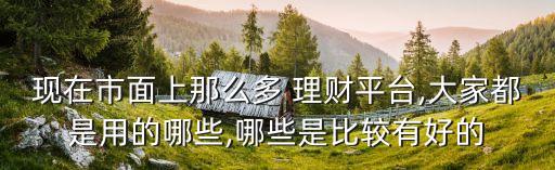 現(xiàn)在市面上那么多 理財(cái)平臺(tái),大家都是用的哪些,哪些是比較有好的