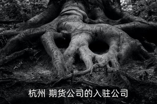 杭州 期貨公司的入駐公司