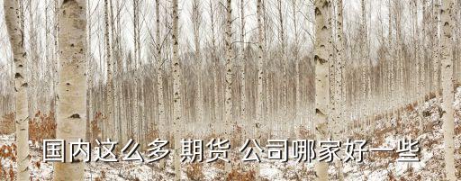 國內(nèi)這么多 期貨 公司哪家好一些