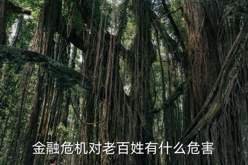 金融危機對老百姓有什么危害
