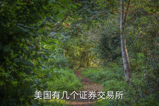 美國(guó)有幾個(gè)證券交易所