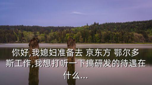 你好,我媳婦準(zhǔn)備去 京東方 鄂爾多斯工作,我想打聽(tīng)一下搞研發(fā)的待遇在什么...