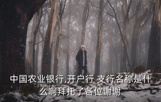 中國農(nóng)業(yè)銀行,開戶行 支行名稱是什么啊拜托了各位謝謝