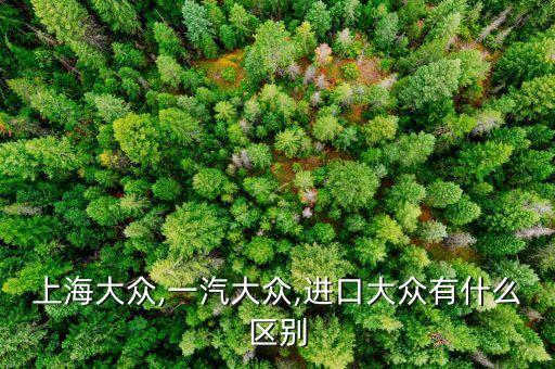 上汽集團性質,上海上汽集團