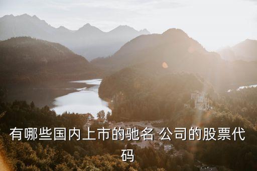 有哪些國(guó)內(nèi)上市的馳名 公司的股票代碼