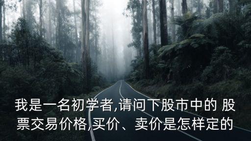 我是一名初學(xué)者,請問下股市中的 股票交易價(jià)格,買價(jià)、賣價(jià)是怎樣定的