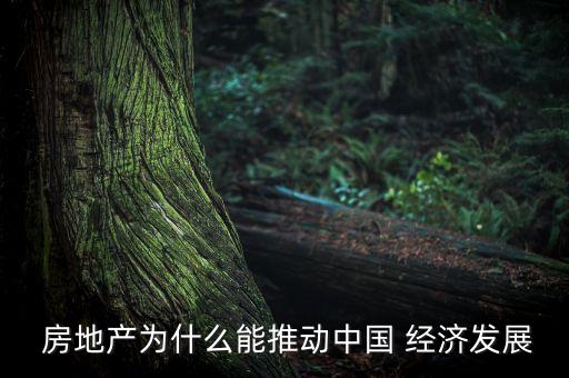 房地產為什么能推動中國 經濟發(fā)展