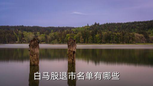 白馬股退市名單有哪些