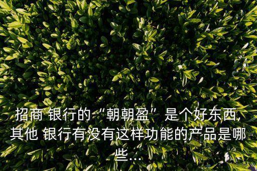 招商 銀行的“朝朝盈”是個(gè)好東西,其他 銀行有沒(méi)有這樣功能的產(chǎn)品是哪些...