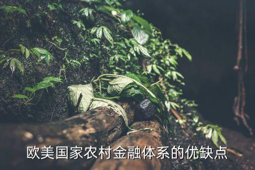 美國商業(yè)銀行貸款的制度,商業(yè)銀行貸款應(yīng)當(dāng)實行什么制度和流程