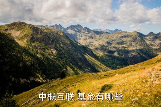 基金名字,助學基金名字