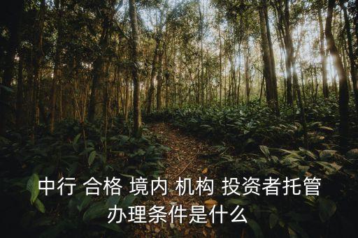 中行 合格 境內(nèi) 機(jī)構(gòu) 投資者托管辦理條件是什么