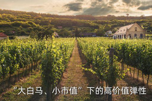“大白馬、小市值”下的高價(jià)值彈性