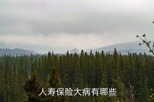  人壽保險(xiǎn)大病有哪些