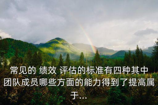 常見(jiàn)的 績(jī)效 評(píng)估的標(biāo)準(zhǔn)有四種其中團(tuán)隊(duì)成員哪些方面的能力得到了提高屬于...