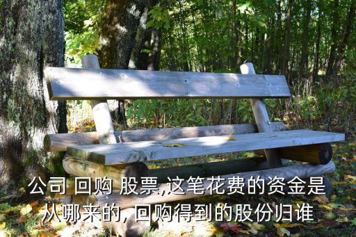 公司 回購 股票,這筆花費的資金是從哪來的, 回購得到的股份歸誰