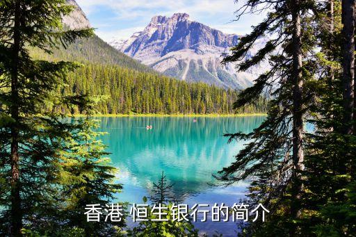 恒生公司董事長(zhǎng),什邡恒生公司董事長(zhǎng)
