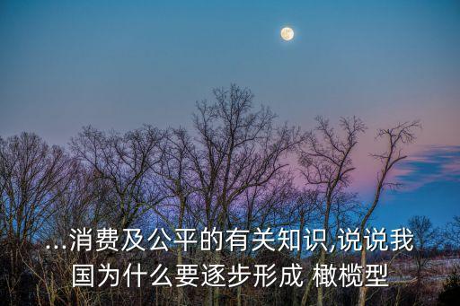 ...消費(fèi)及公平的有關(guān)知識(shí),說說我國為什么要逐步形成 橄欖型
