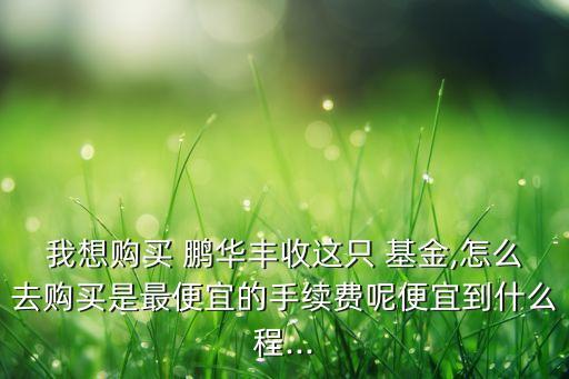 我想購(gòu)買 鵬華豐收這只 基金,怎么去購(gòu)買是最便宜的手續(xù)費(fèi)呢便宜到什么程...