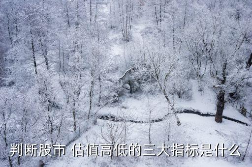 股票估值高與市場價格,市場價格很低個人估值又很大的商品