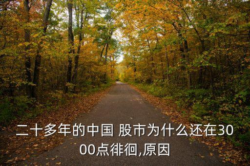 二十多年的中國 股市為什么還在3000點徘徊,原因
