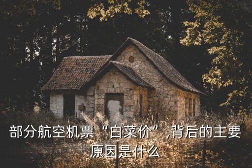 部分航空機(jī)票“白菜價”,背后的主要原因是什么