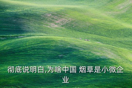 中國煙草總公司利潤
