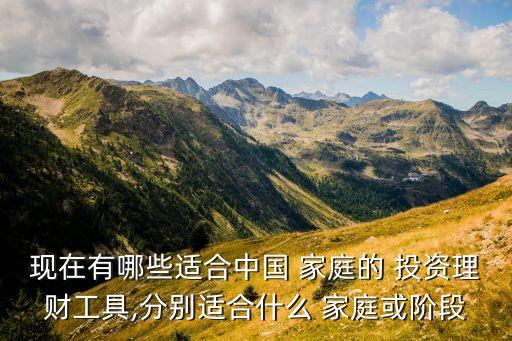 現(xiàn)在有哪些適合中國(guó) 家庭的 投資理財(cái)工具,分別適合什么 家庭或階段