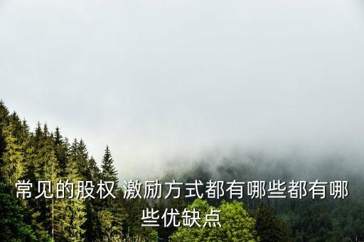 股票期權(quán)是激勵約束機制的重要實現(xiàn)形式