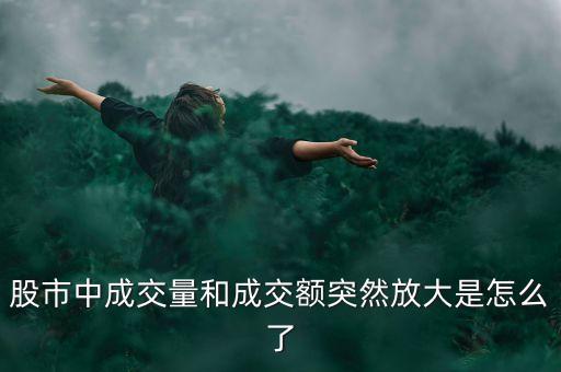股票交易量變大查詢