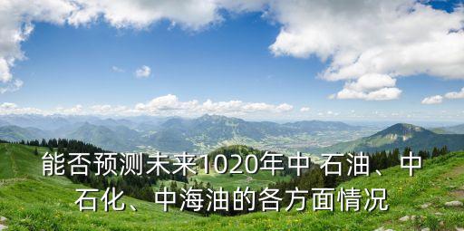 能否預(yù)測(cè)未來1020年中 石油、中石化、中海油的各方面情況
