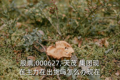 股票,000627, 天茂 集團現(xiàn)在主力在出貨嗎怎么辦現(xiàn)在