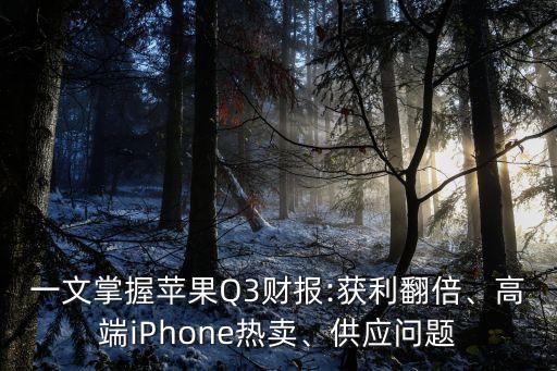 一文掌握蘋果Q3財報:獲利翻倍、高端iPhone熱賣、供應問題