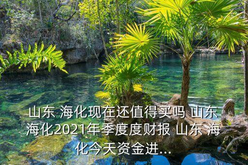 山東?；M出口有限公司