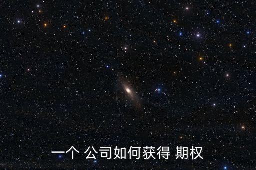 一個 公司如何獲得 期權