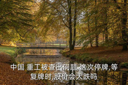 中國 重工被查出問題,這次停牌,等復(fù)牌時,股價會大跌嗎
