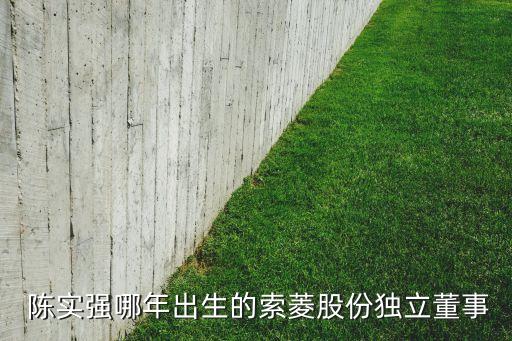 注冊會計師陳實審計h公司,A和B注冊會計師在審計X公司
