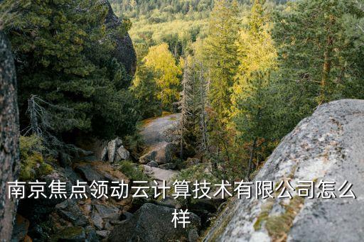 南京焦點(diǎn)領(lǐng)動云計(jì)算技術(shù)有限公司怎么樣