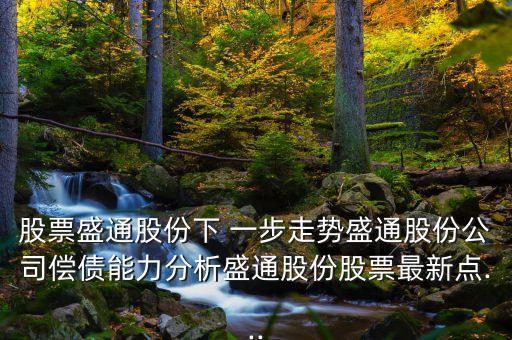 股票盛通股份下 一步走勢(shì)盛通股份公司償債能力分析盛通股份股票最新點(diǎn)...