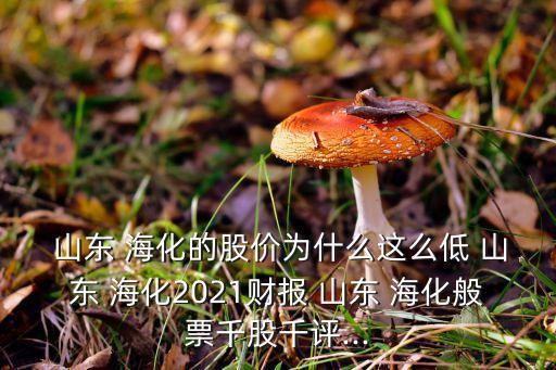  山東 ?；墓蓛r(jià)為什么這么低 山東 ?；?021財(cái)報(bào) 山東 ?；闫鼻Ч汕гu(píng)...
