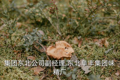阜豐集團(tuán)東北公司副經(jīng)理,東北阜豐集團(tuán)味精廠