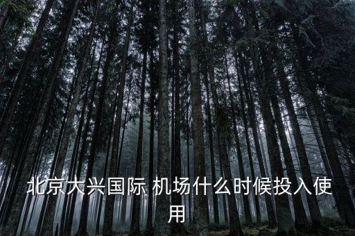  北京大興國(guó)際 機(jī)場(chǎng)什么時(shí)候投入使用