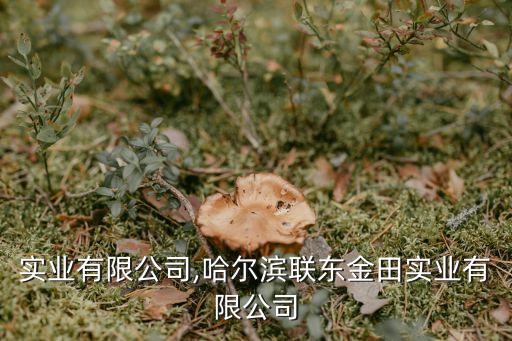 金田實業(yè)有限公司,哈爾濱聯東金田實業(yè)有限公司